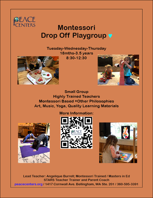 Montessori Drop Off Playgroup